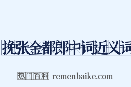 挽张金都郎中词近义词是什么意思的图片